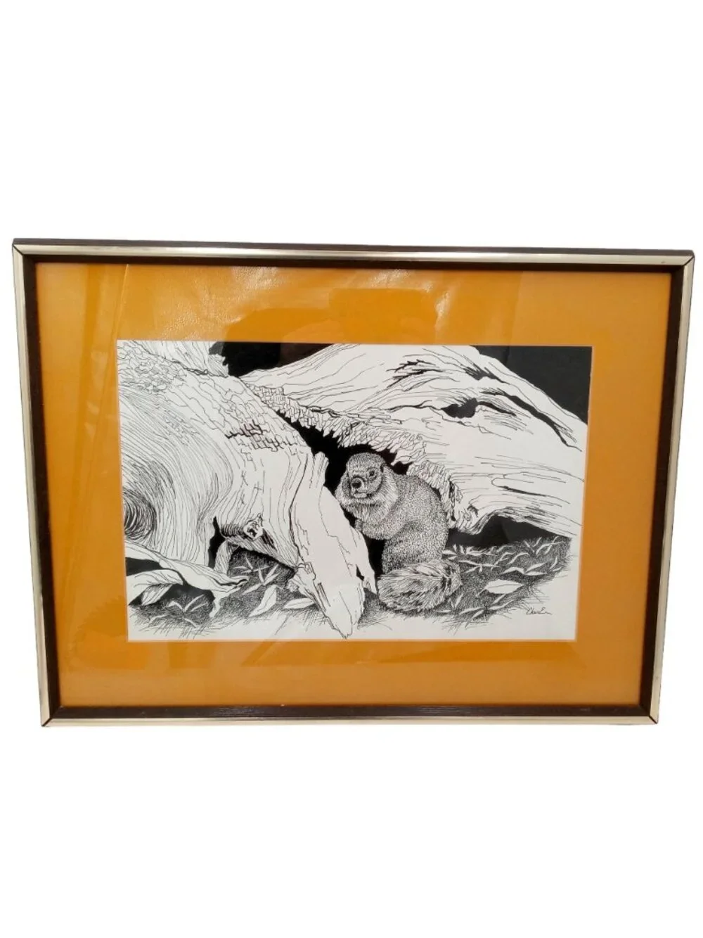 Woodchuck Wall Art Framed Pen And Ink Drawing Print Signed 21 x 16 Cabin Decor
